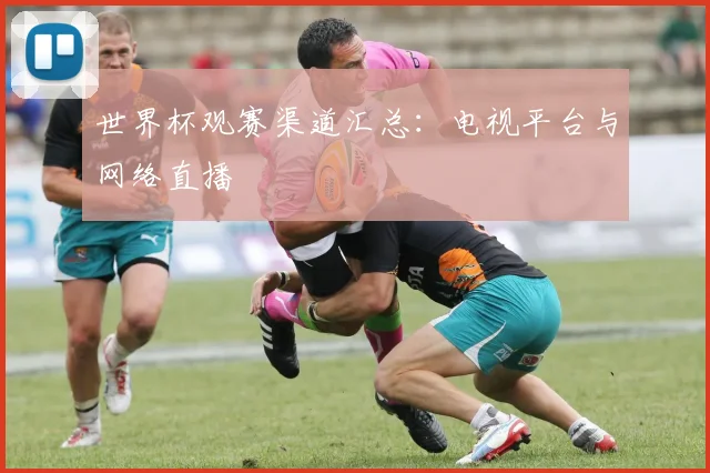 世界杯观赛渠道汇总:电视平台与网络直播