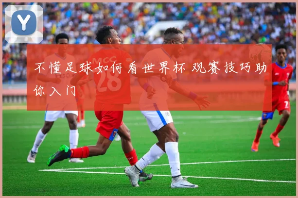 不懂足球如何看世界杯 观赛技巧助你入门