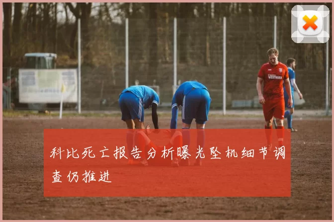 科比死亡报告分析曝光坠机细节调查仍推进