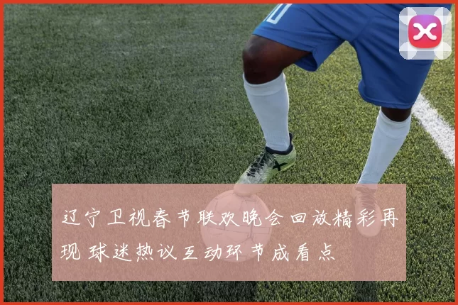 辽宁卫视春节联欢晚会回放精彩再现 球迷热议互动环节成看点