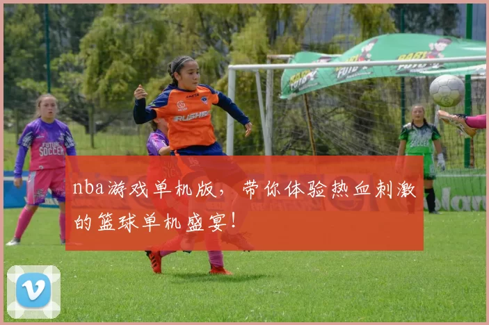nba游戏单机版，带你体验热血刺激的篮球单机盛宴！