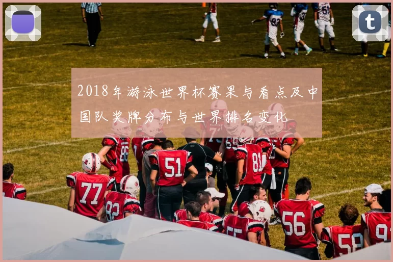 2018年游泳世界杯赛果与看点及中国队奖牌分布与世界排名变化